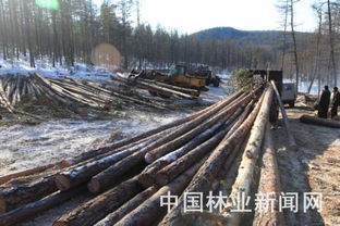 黑龙江大兴安岭新林林业局赴俄投资合作取得突破
